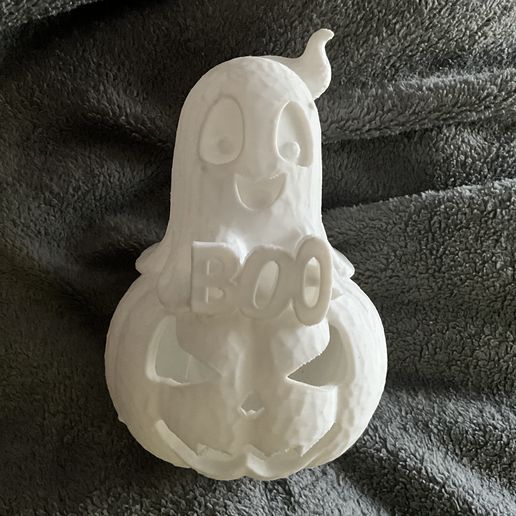 IMG_2509.jpeg Ghost on the pumpkin