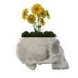 Low_07.jpg Skull Vase