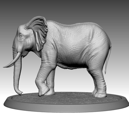 STL file Elephantă»3D printer design to downloadă»Cults