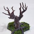 20250518_084932.jpg Oathsworn: Into The Deepwood - Terrain