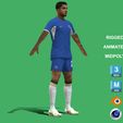 Colwill_2.jpg 3D Rigged Levi Colwill Chelsea 2024