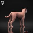 Boxer-Pose-02-Dog-3D-Print-4s.jpeg Chien Boxer Modèle imprimé en 3D Pose 02