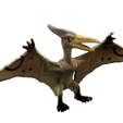 1.png Pteranodon Fliegender Dinosaurier