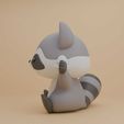 raccoon-05.jpg Raccoon