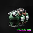 Turtle-Chunky-5.jpg Flex 3D Schildkröte Chunky
