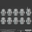 CacophonicLegionary2.png Cacophonic Legionary Heads