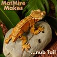 Painted-0071-copy.jpg Crested Gecko Articulated Toy, Print-In-Place Body, Snap-Fit Head, Cute Flexi