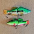 1673342807081.jpeg STL file Bass multi jointed swimbait or glidebait fishing lure・3D print object to download