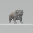 1.png Pug Dog 3D print model