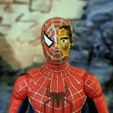 IMG_20230910_095938_302.jpg Spider-man (Tobey Maguire) Marvel Legends Head