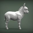 Donkey-baby3.jpg Modelo de impresión 3D de bebé burro