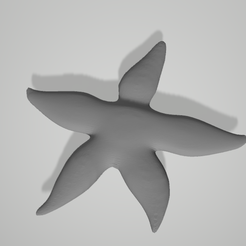 estrella-de-mar.png Starfish