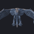 FNW_B.png Frilled-Neck Wyvern B