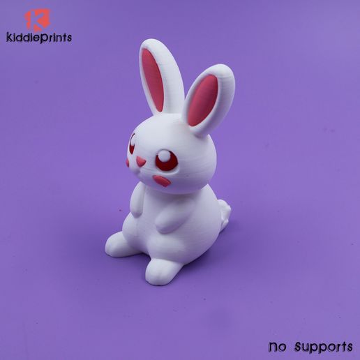 10.jpg lindo conejo diminuto ( Sin soportes)