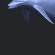 27_TDA0613_Dolphin_03A10.png Dolphin 03