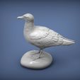 gull4.jpg Herring gull 3D print model