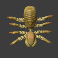 unnamed.png Articulated Camel Spider!
