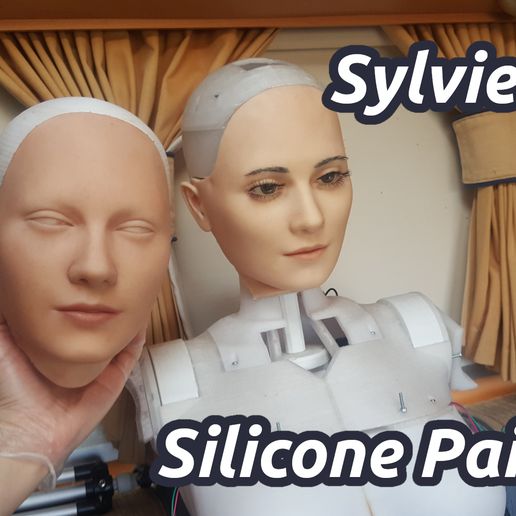 Silicone Casting tools V3 for Sylvie 2023 3D model