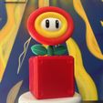IMG_0665.jpg Bubble, Ice or Fire Flower Power Up - Super Mario Bros. Wonder