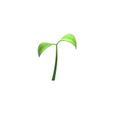 Sprout_02.jpg Plant Sprout