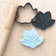 CC_cookie-074.jpg Cookie cutter Spinach vegetables collection cutter+stamp