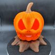20230821_163526.jpg Pumpkin Halloween Jack O Lantern