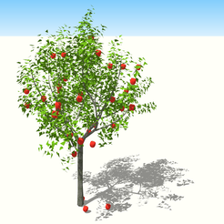 0.png Apples FRUIT TREE FOREST WOODEN WOOD Apples TREE GRASS FOOD DRINK JUICE NATURE