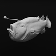 31.png Triplewart Seadevil - Cryptopsaras Couesii - Realistic Angler Fish