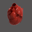 2.png HEART SEGMENTAION WITH CUT SECTIONS