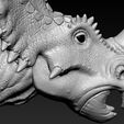 13.jpg Triceratops Head
