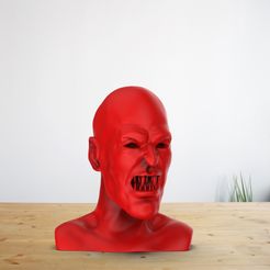 untitled.28.jpg Vampire Head 3D Print