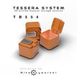 IMG_9057.jpg TB554 - Modulare Aufbewahrungsbox für das Tessera-System