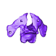 Skull_Part_09.stl Download STL file Diplodocus skull • 3D printing model, Inhuman_species