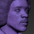 25.jpg Jimi Hendrix bust 3D printing ready stl obj