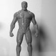 impresion.jpg Titan armored Rainer - attack on titan