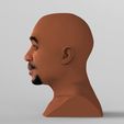 untitled.1333.jpg Tupac Shakur bust ready for full color 3D printing