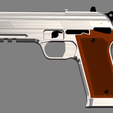 Capture00.PNG Pistol