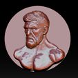 001.jpg MMA and UFC portrait relief model