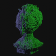 vid0209.png Alien Insectoid Bust