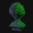 vid0161.png Alien Insectoid Bust