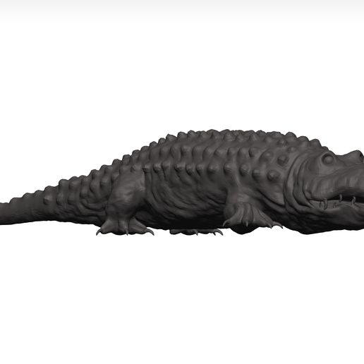Alligator 3D model
