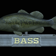 Bass-statue-20.png fish Largemouth Bass / Micropterus salmoides statue detailed texture for 3d printing