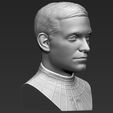 10.jpg Spider-Man Tobey Maguire bust 3D printing ready stl obj formats