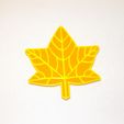 DSCF1074.JPG Maple Coasters With Holder