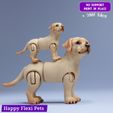2.jpg Labrador retriever realistic dog articulated flexi toy (STL & 3MF)