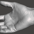 3.png Scan3D Hand woman 32years