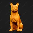 2384-Boston_Terrier_Pose_05.jpg Boston Terrier Dog 3D Print Model Pose 05