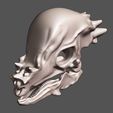 vue-01.jpg Pachycephalosaurus 3D skull