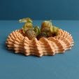04.jpg Bowl “Heliopora Coral”