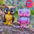 5.jpg CUTE FELXY OWL BIRD FEMALE AND MALE (TWO VERSION)